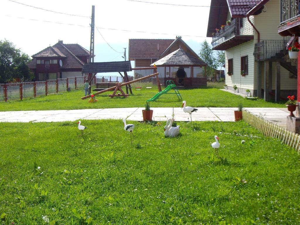 Garofita Pietrei Craiului Hotel Pestera  Luaran gambar